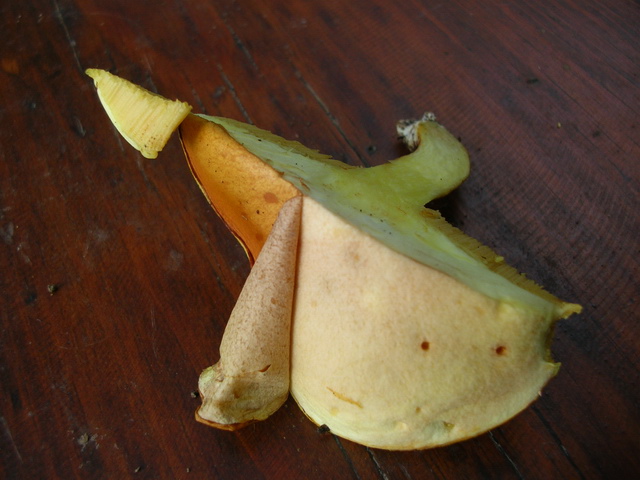 ..2 soggetti da sottoporre